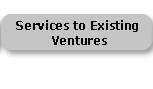 Services to Existing Ventures