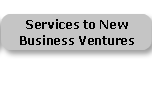 Services to New Business Ventures